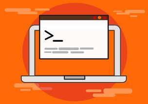 九游娱乐-青少年比赛引入技术监测系统保障公平，2020年青少年比赛