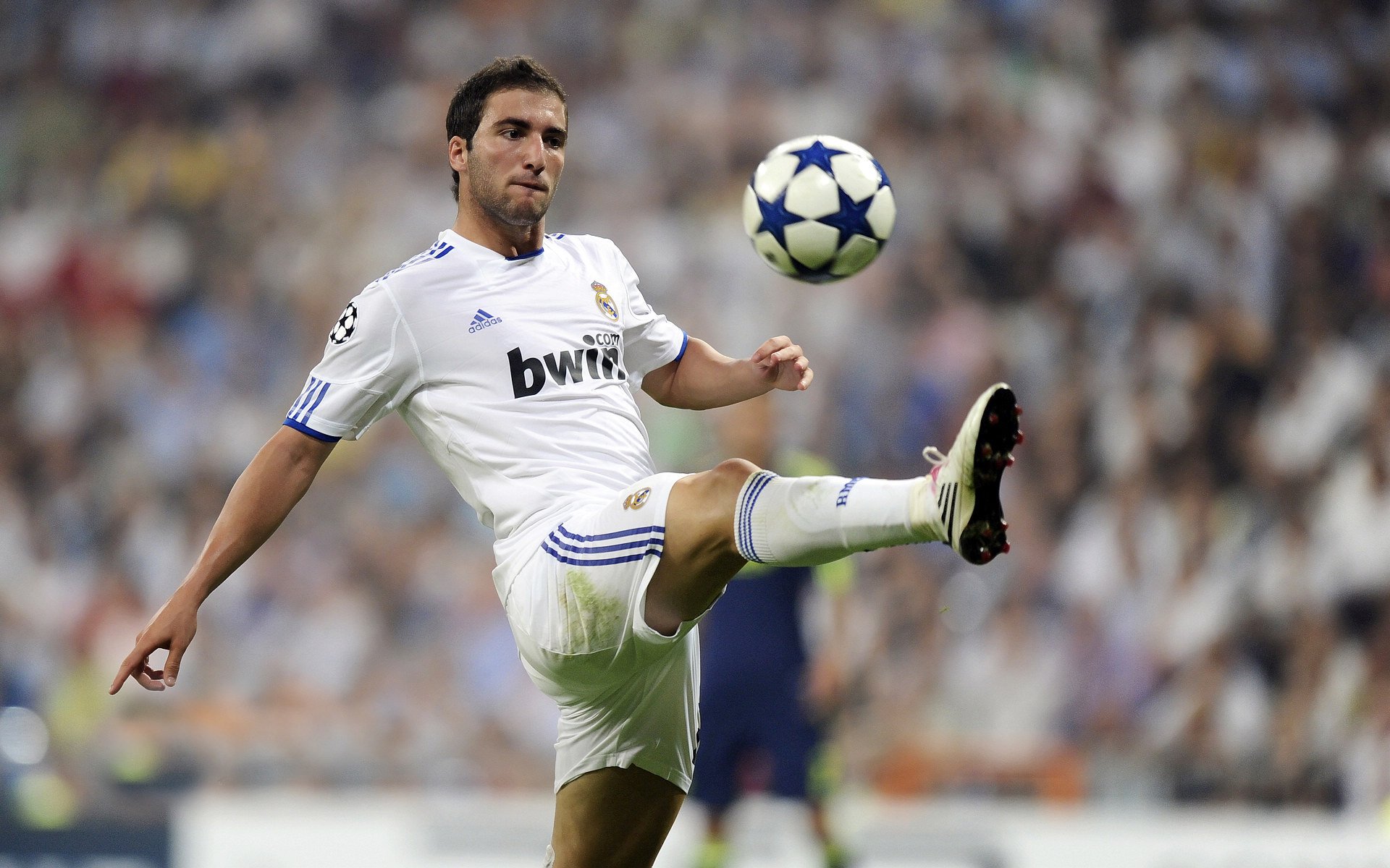 “南非羚羊队冲击世界第一,萨尔·巴赫成为焦点人物”